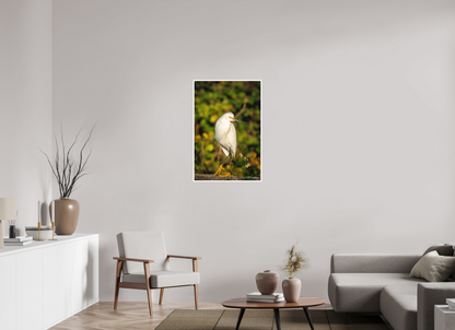 24 x 36″, Fine art print "Golden Light, White Silence" - Great Egret