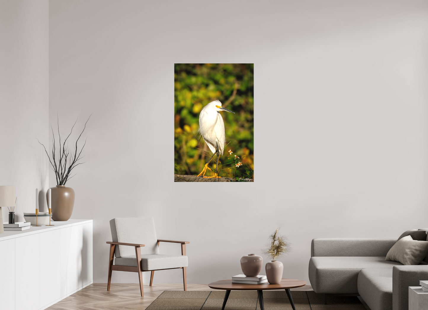 30 x 45″, Canvas "Golden Light, White Silence" - Great Egret