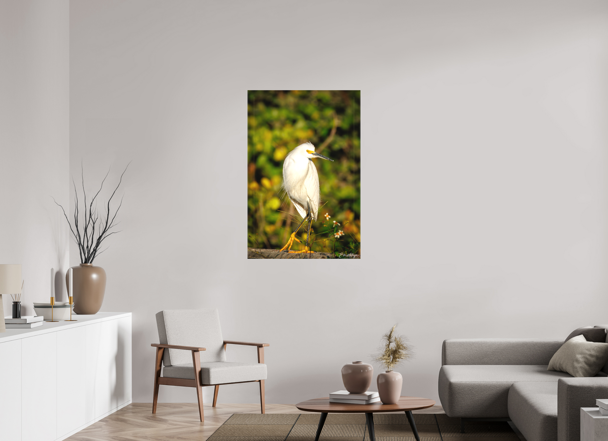 30 x 45″, Canvas "Golden Light, White Silence" - Great Egret