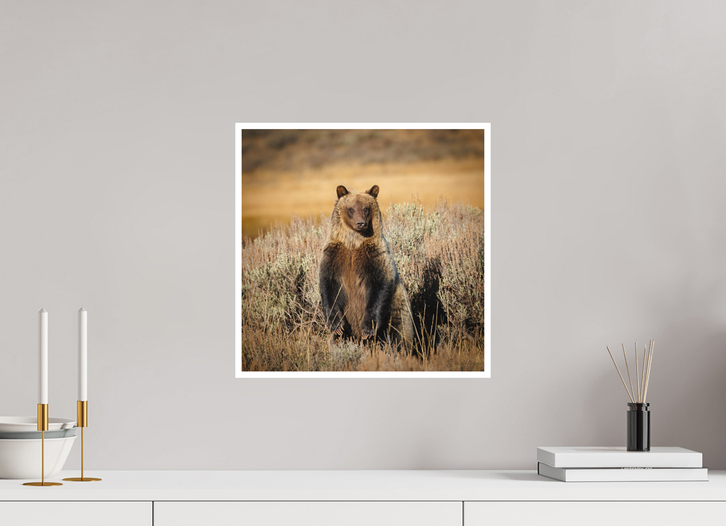 15 x 15″, Fine art print "Standing Tall" - Grizzly Bear