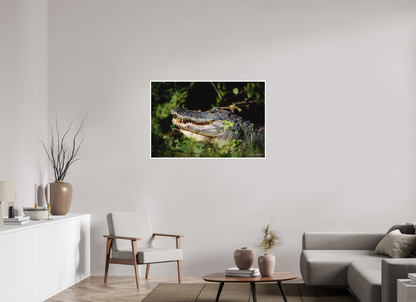 45 x 30″, Fine art print "At the Water's Edge" - American Alligator