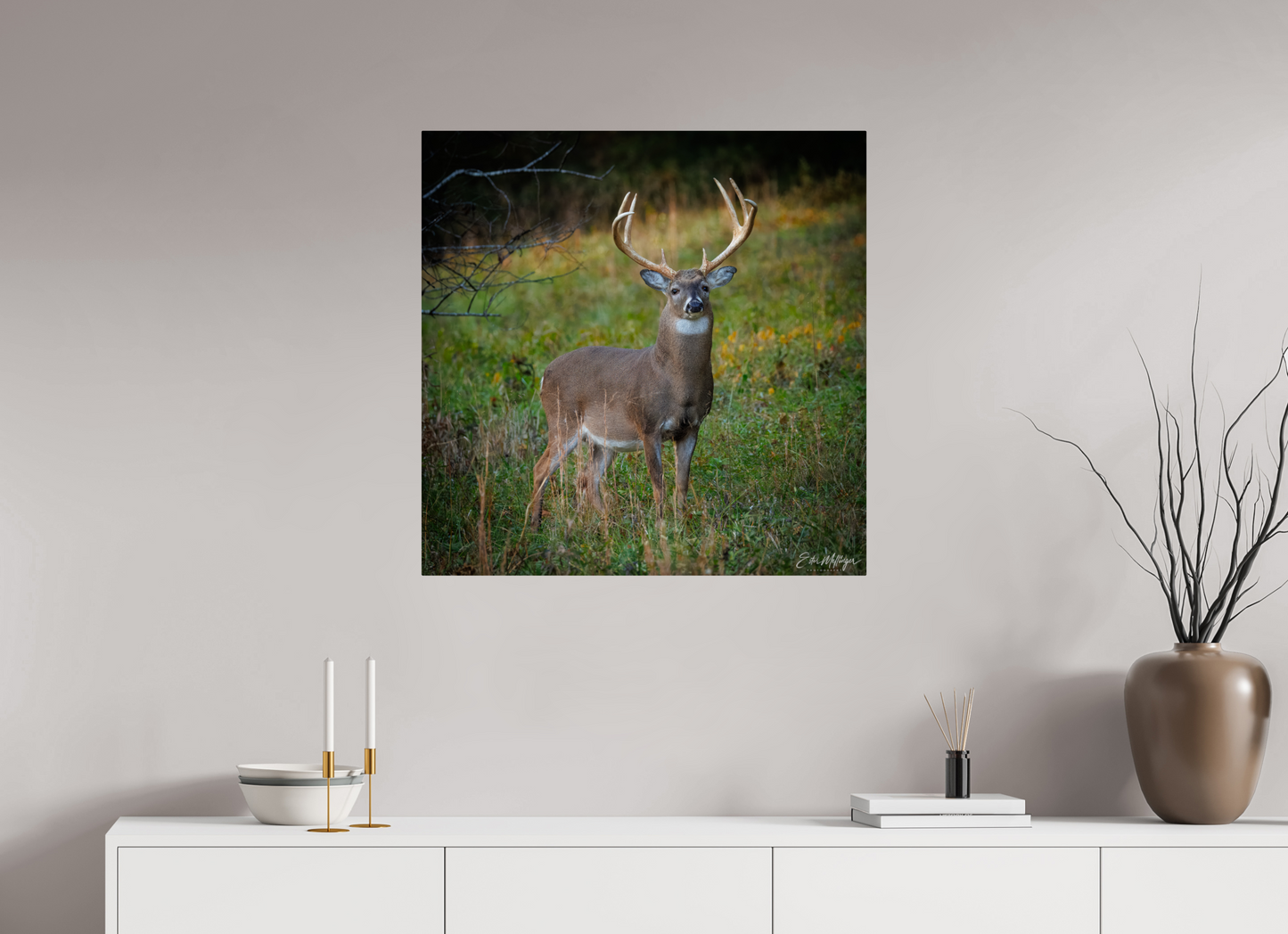 30 x 30″, Metal "Majesty of the cove" - White-tailed Buck