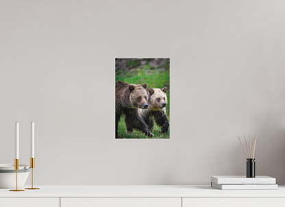 8 x 12″, Canvas "Rainfall Stroll" - Grizzly Bears