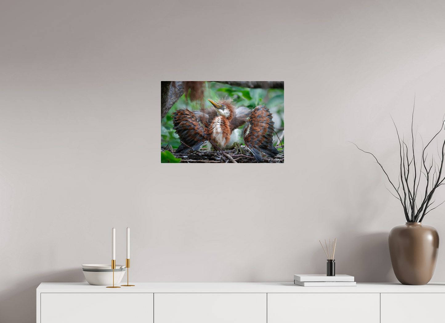 24 x 16″, Acrylic "Finding My Wings" - Tricolored Heron