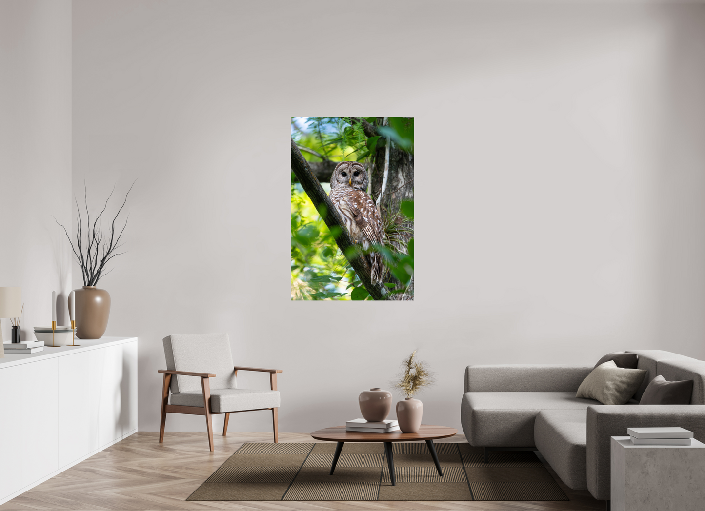 36 x 54″, Metal "..." - Barred Owl