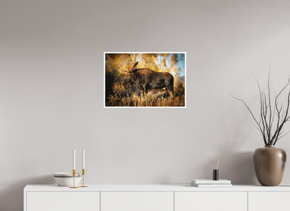 24 x 16″, Fine art print "Monarch of Gros Ventre - Presence" - Bull Moose