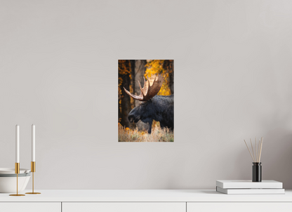 8 x 12″, Canvas "The Wild One" - Bull moose