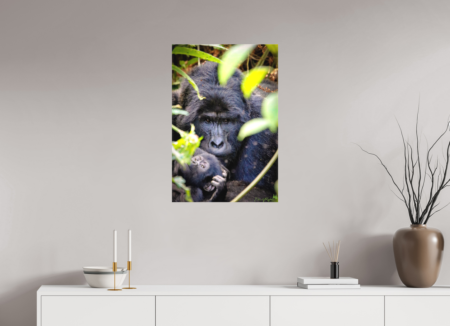 Silverback with his baby