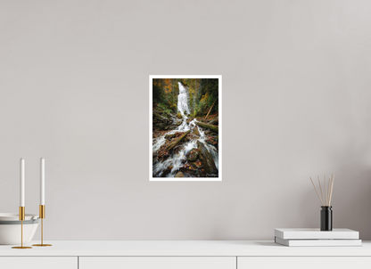 8 x 12″, Fine art print "Whispers of the Forest" - Mingo Falls