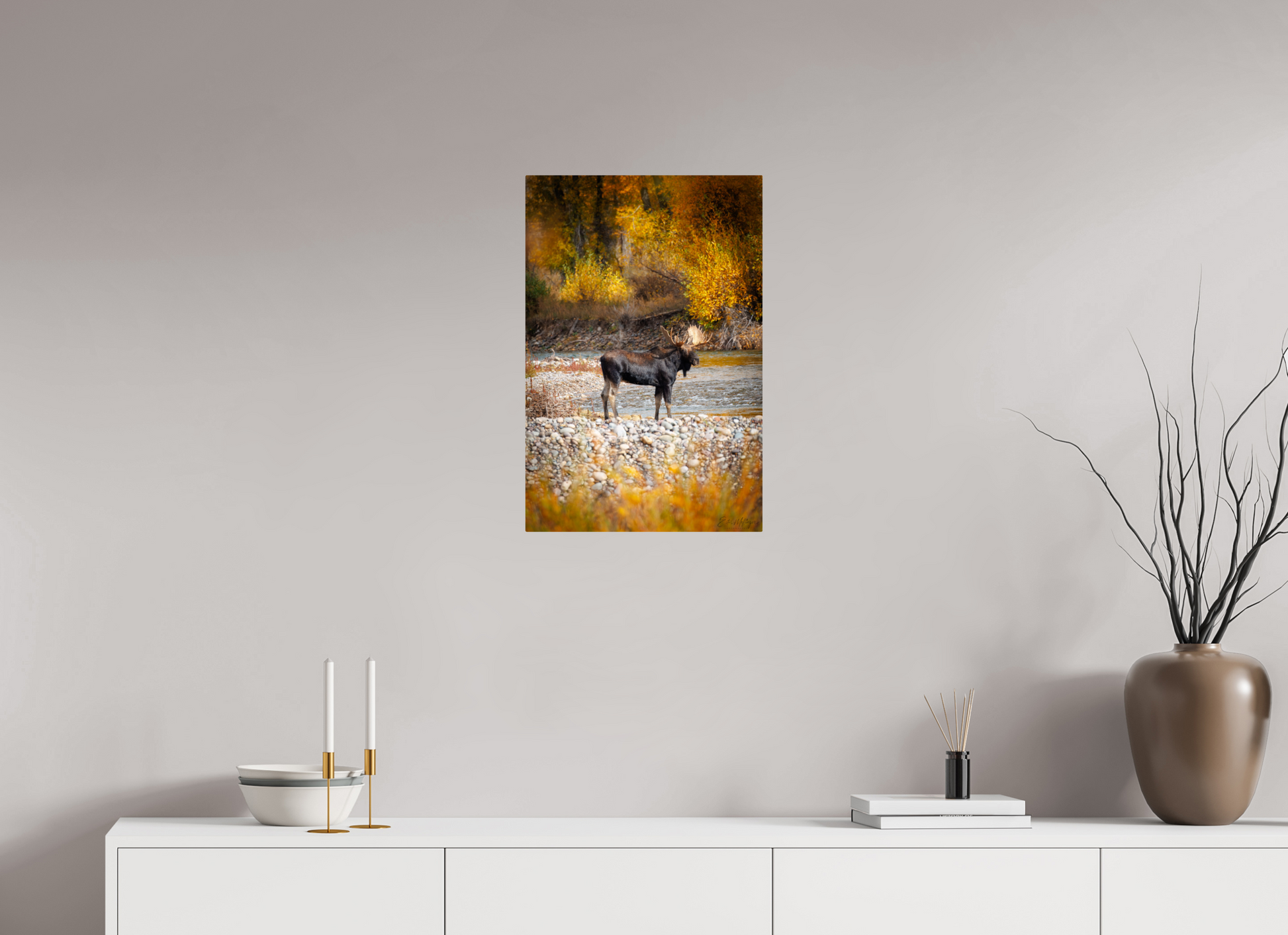 16 x 24″, Metal "King of the Colors" - Bull Elk, Gros Ventre River
