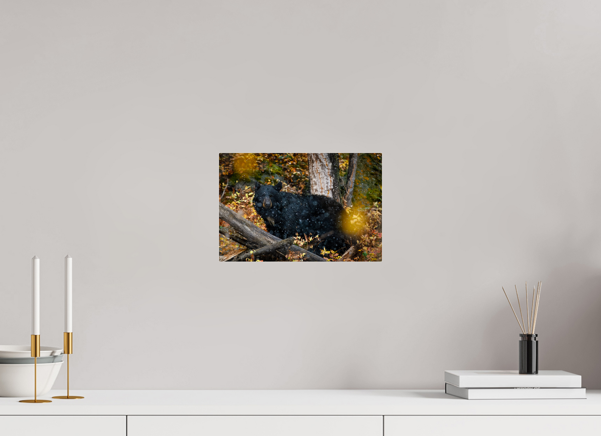 12 x 8″, Acrylic "Between Seasons" - Black Bear