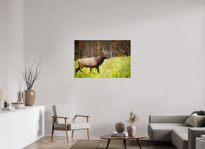 45 x 30″, Metal "Call of the Wild" - Elk