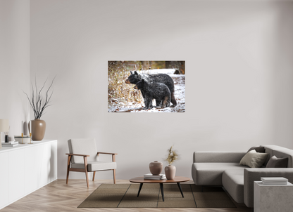 54 x 36″, Canvas "Guardians of the Snow" - Black Bears