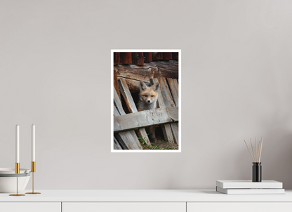 10 x 15″, Fine art print "Barnyard Lookout" - Red Fox kit
