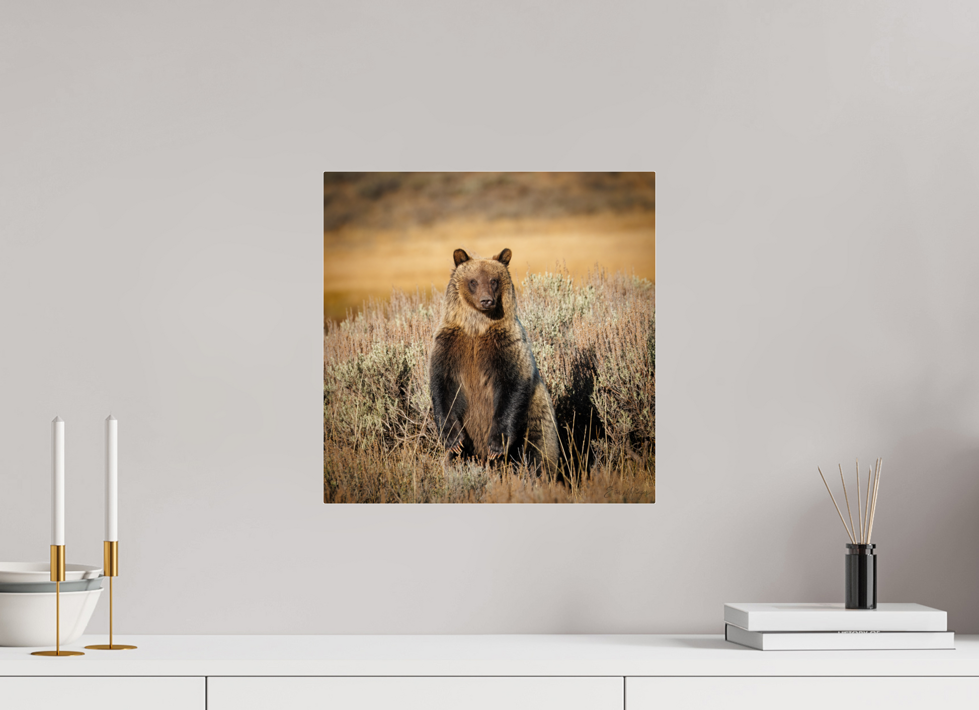 15 x 15″, Acrylic "Standing Tall" - Grizzly Bear