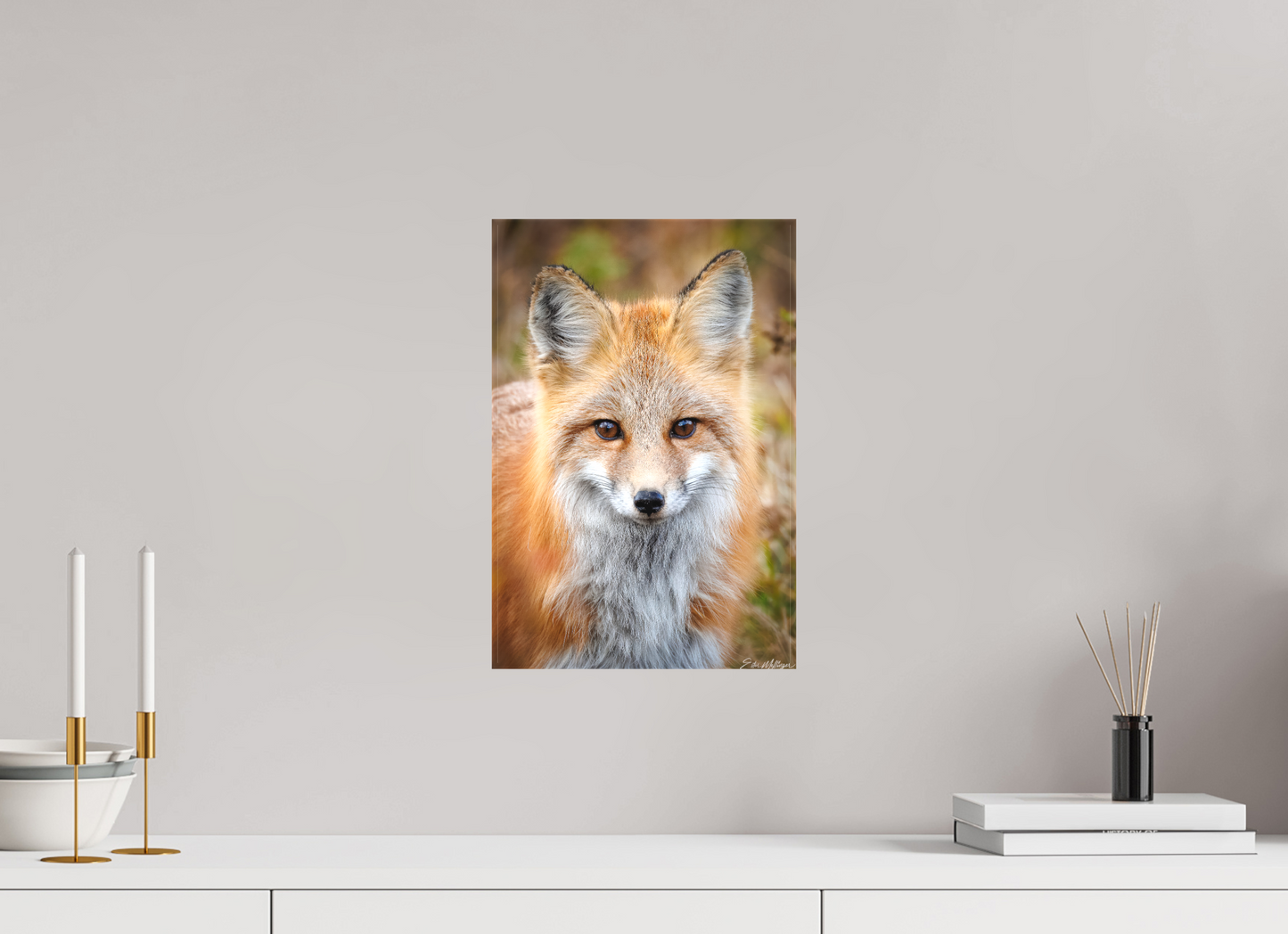 10 x 15″, Canvas "Face to Face" - Red Fox