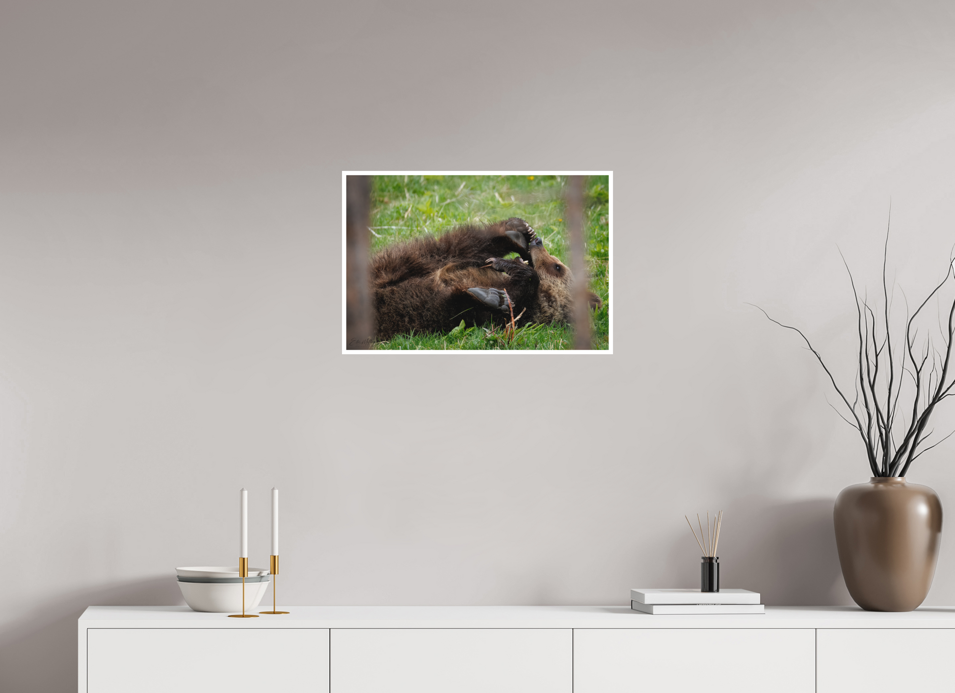 24 x 16″, Fine art print "Playful Beginnings" - Grizzly Bear