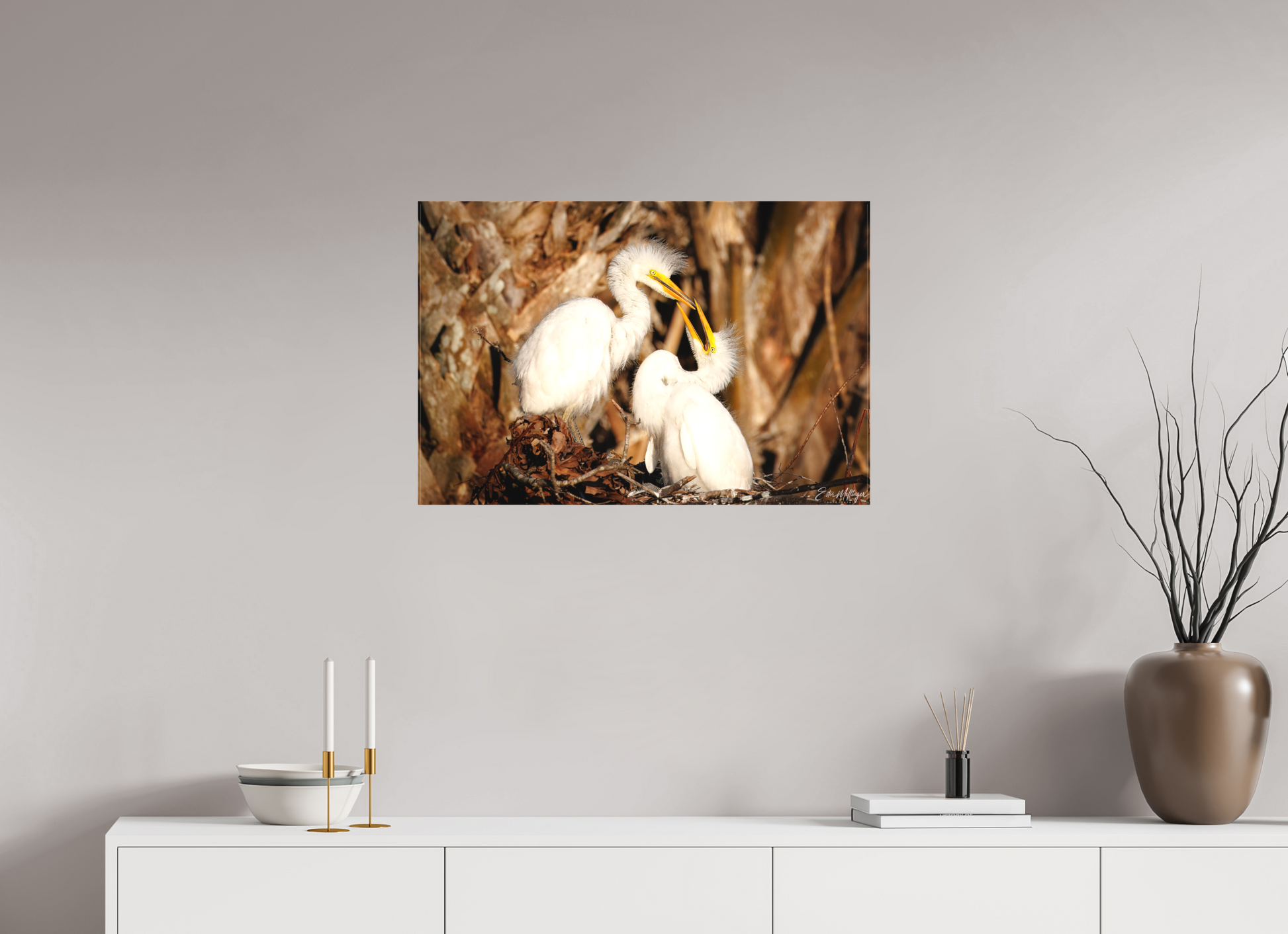 30 x 20″, Canvas "Wetland Nursery" - Great Egrets
