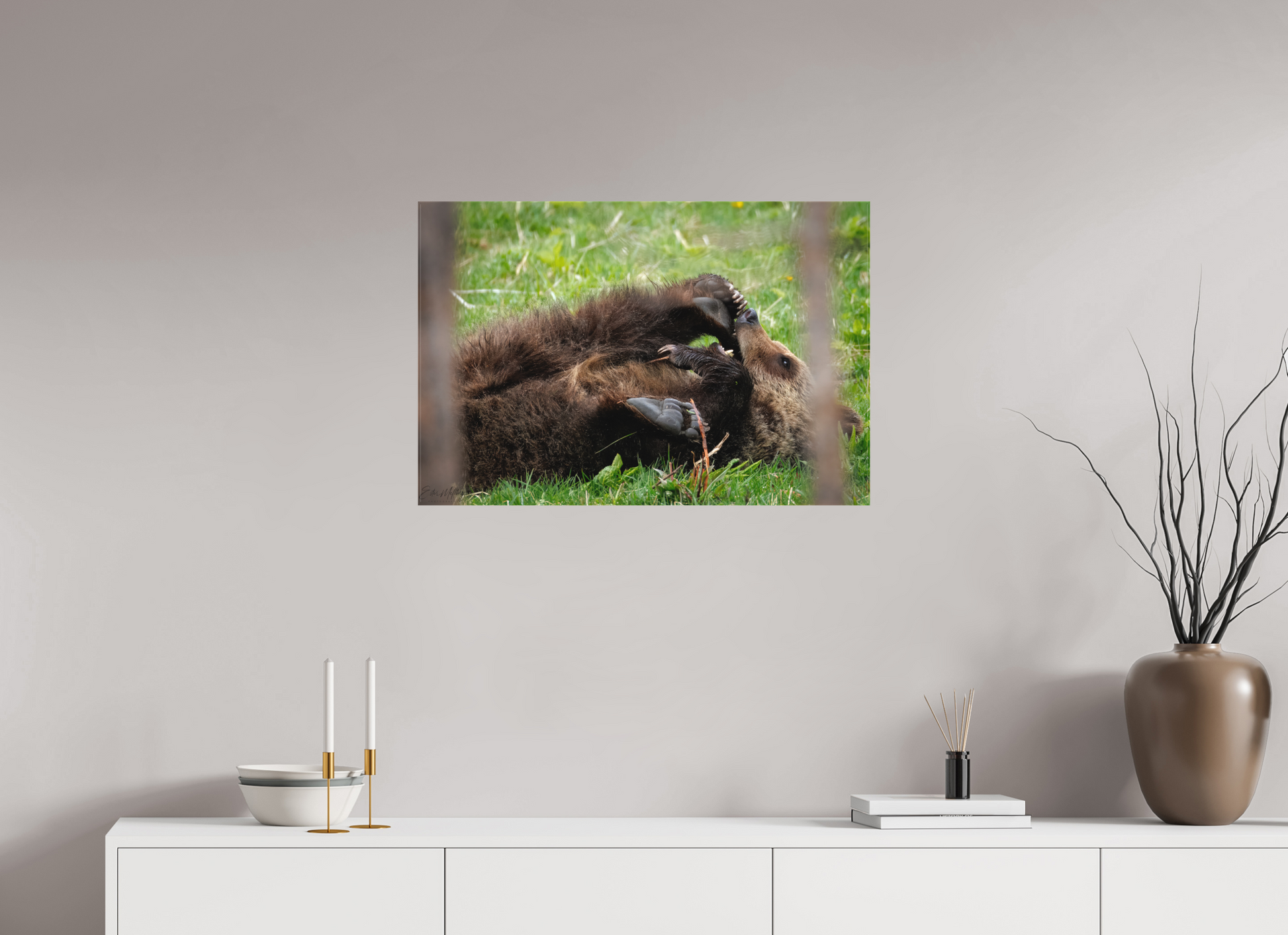 30 x 20″, Canvas "Playful Beginnings" - Grizzly Bear