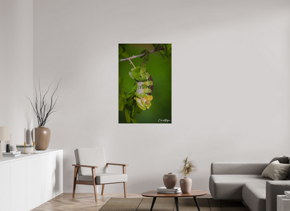 30 x 45″, Metal "Emerald Acrobat" - Chameleon of the Rainforest