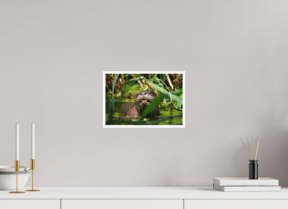 12 x 8″, Fine art print "Swamp Watcher" - American river otter