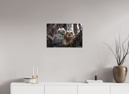 24 x 16″, Acrylic "Hidden in the Pines" - Great Horned Owlets