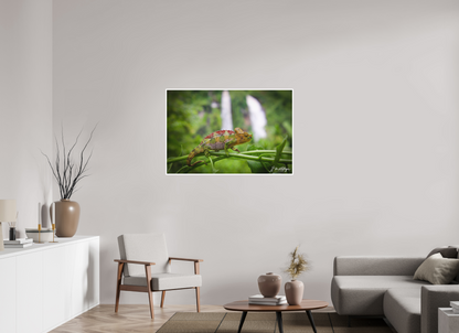 45 x 30″, Fine art print "Guardian of the Falls" - Chameleon in the Rainforest