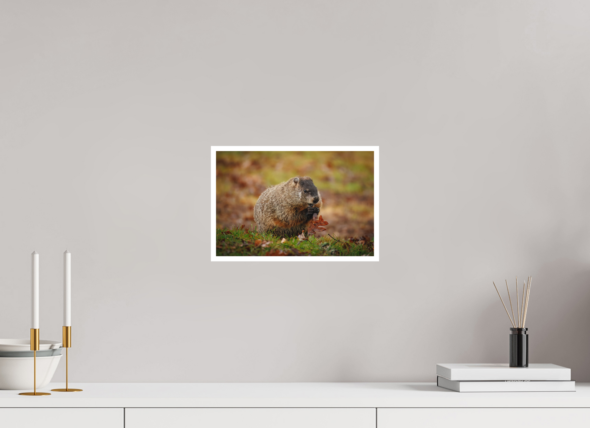 12 x 8″, Fine art print "The Little Forager"