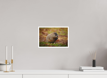 12 x 8″, Fine art print "The Little Forager"