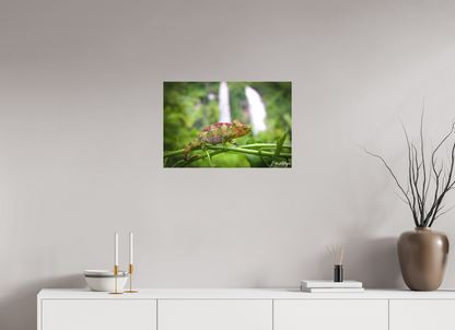 24 x 16″, Canvas "Guardian of the Falls" - Chameleon in the Rainforest