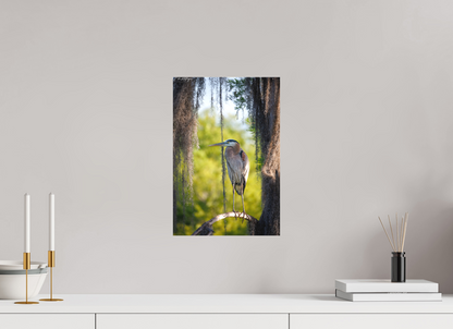 10 x 15″, Canvas "Framed by the Moss" - Great Blue Heron