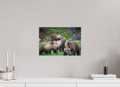 15 x 10″, Canvas "Family Watch" - Grizzly Bears
