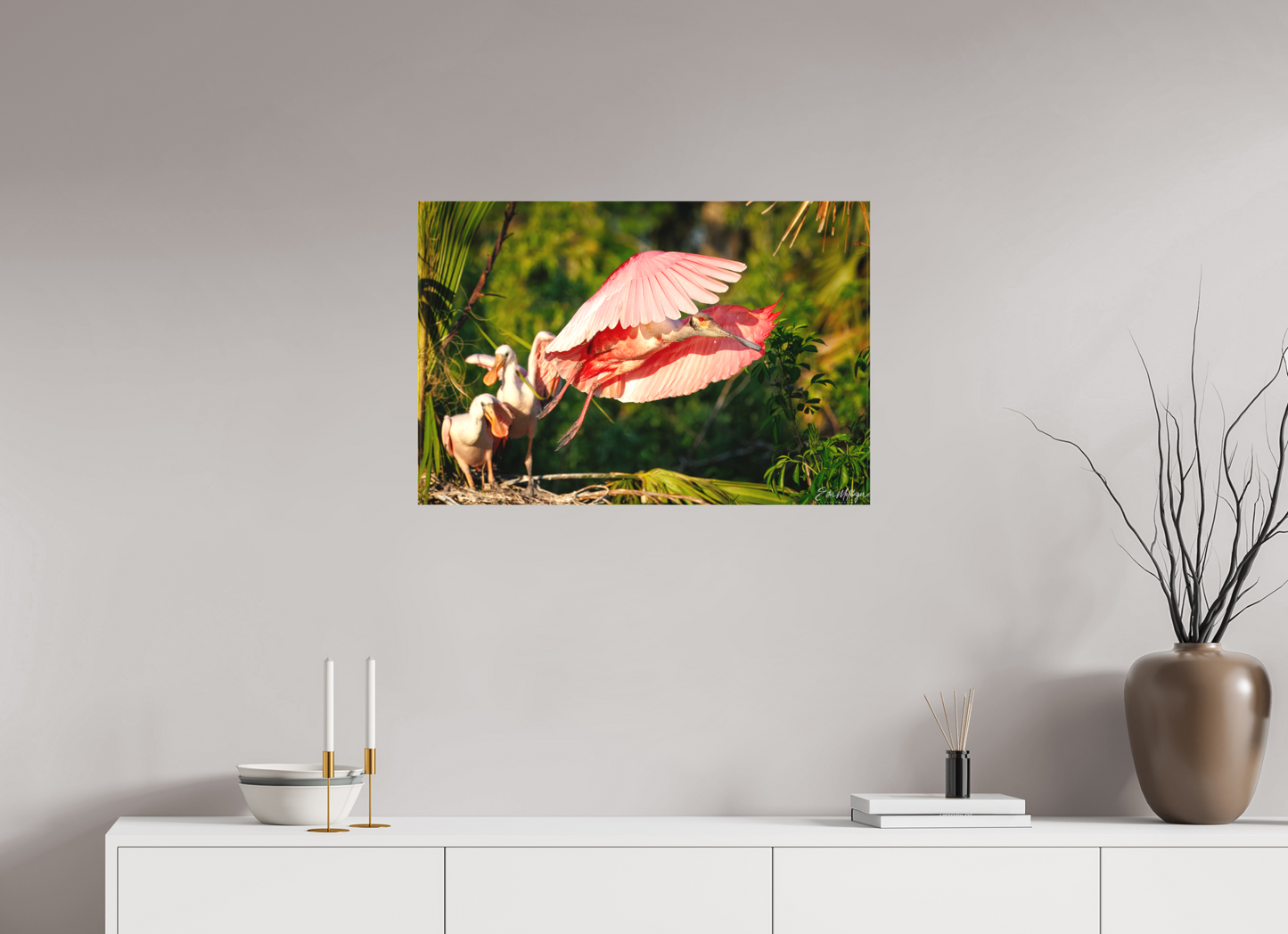 30 x 20″, Canvas "After the Feeding" - Roseate Spoonbill