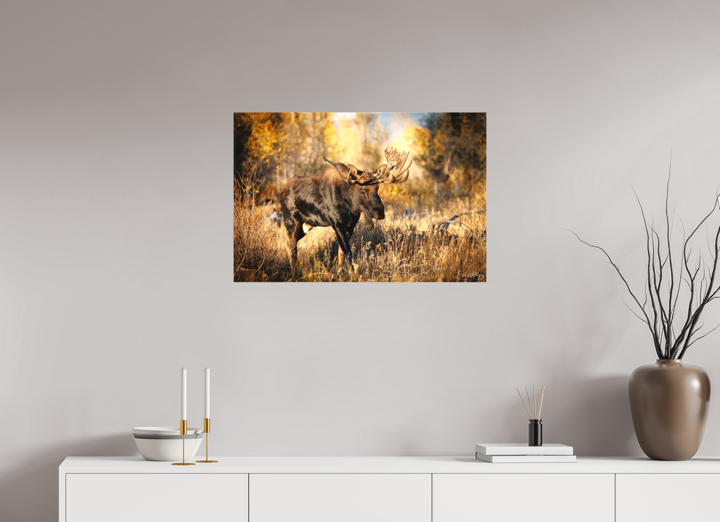 30 x 20″, Canvas "Monarch of Gros Ventre" - Bull Moose