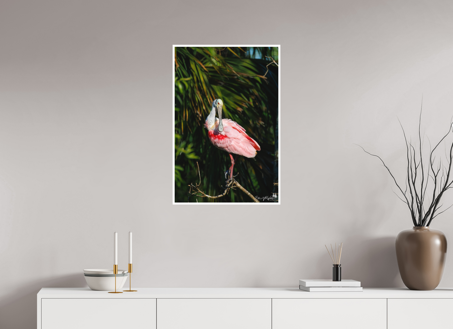 Preening spoonbill