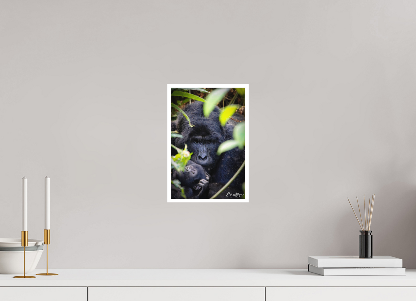 8 x 12″, Fine art print "The Watchful One' - Silverback and his young
