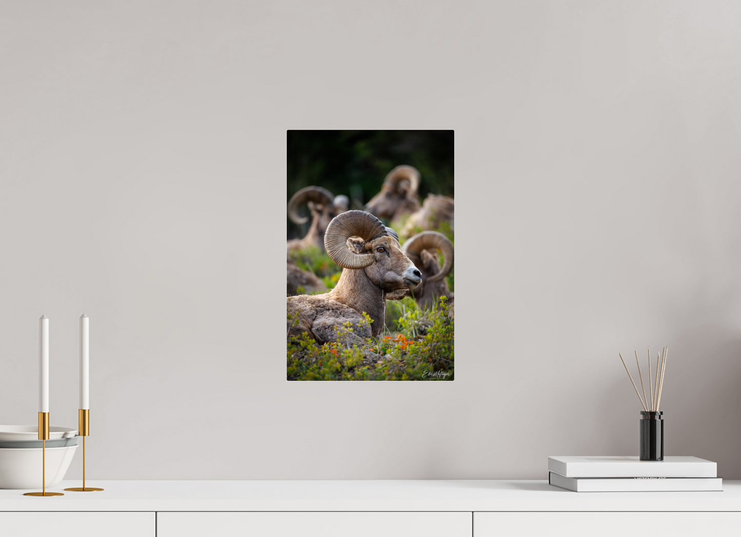 10 x 15″, Acrylic "High Watch" - Bighorn Sheep