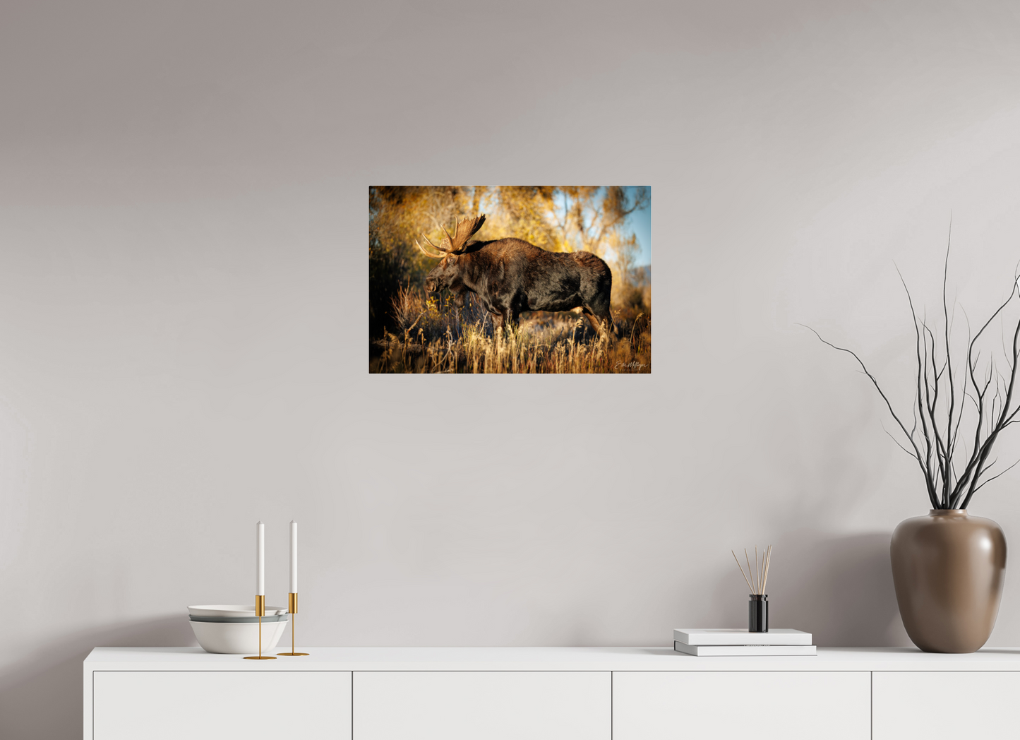 24 x 16″, Acrylic "Monarch of Gros Ventre - Presence" - Bull Moose