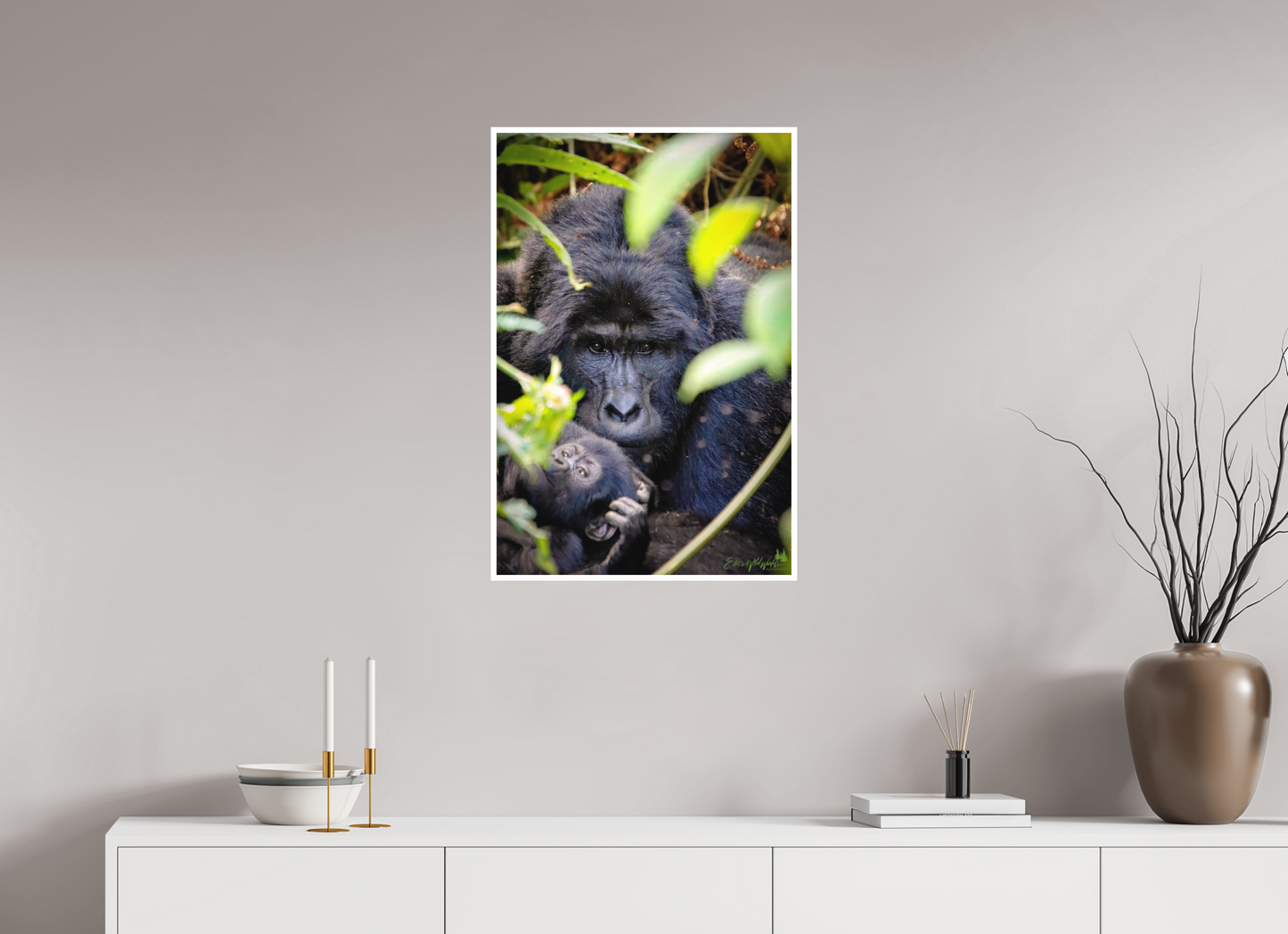 Silverback with his baby