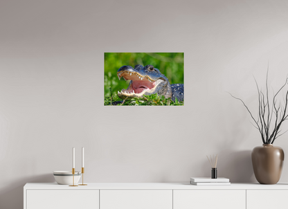 24 x 16″, Metal "Wide Open" - American Alligator