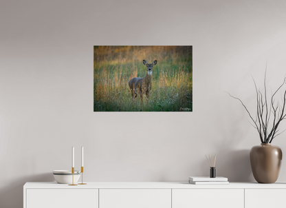 30 x 20″, Acrylic "Grace in the Meadow" - White-tailed Doe