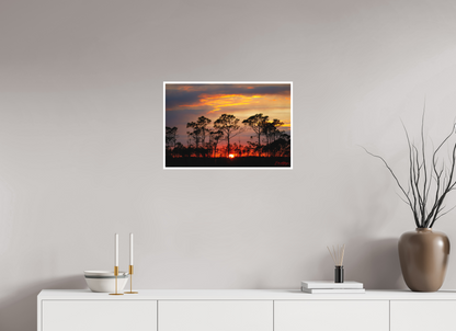 24 x 16″, Fine art print "Fire in the Pines" - Big Cypress Sunset