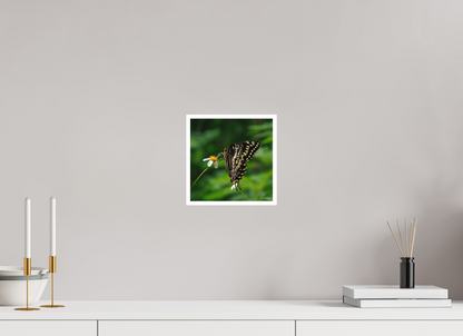 8 x 8″, Fine art print "Wildflower Landing" - Black Swallowtail