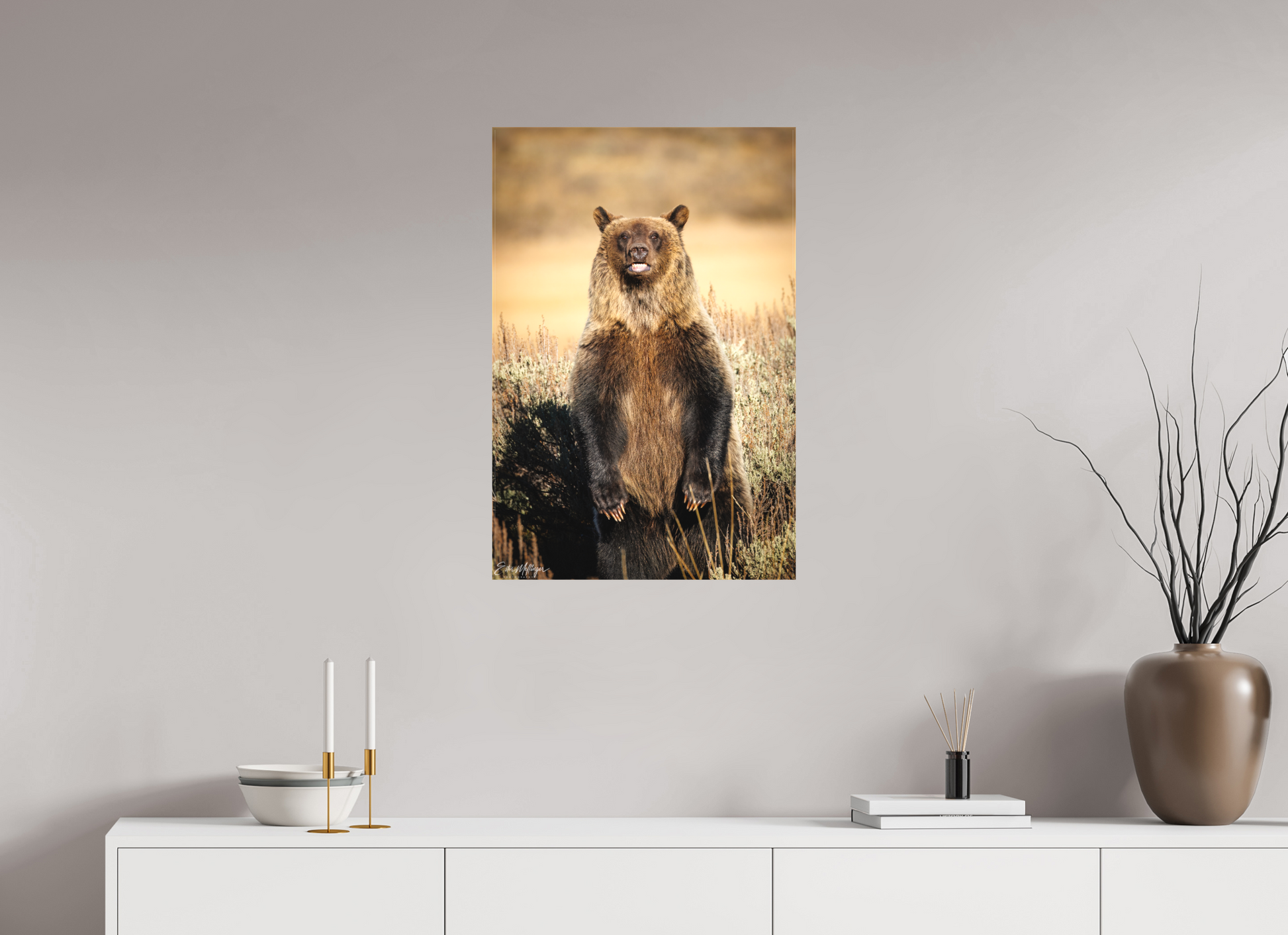 20 x 30″, Canvas "Grin & Grizzly" - Grizzly Bear