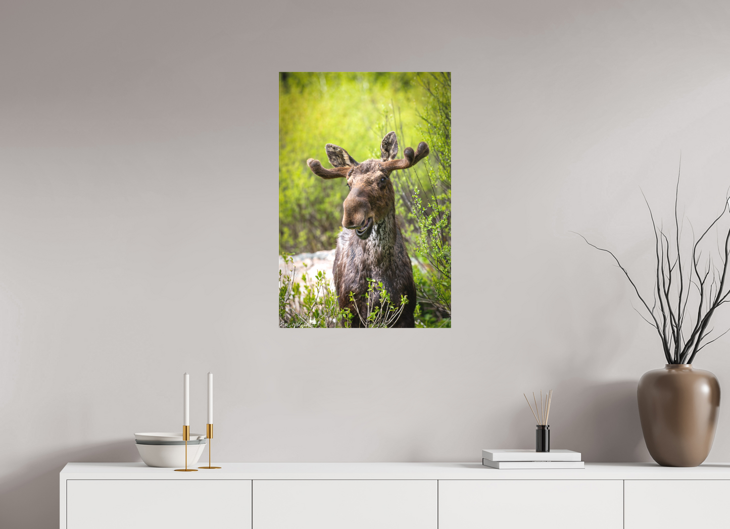 Smiling moose