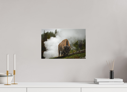 Bison in the fog