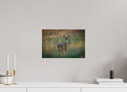 15 x 10″, Acrylic "Grace in the Meadow" - White-tailed Doe