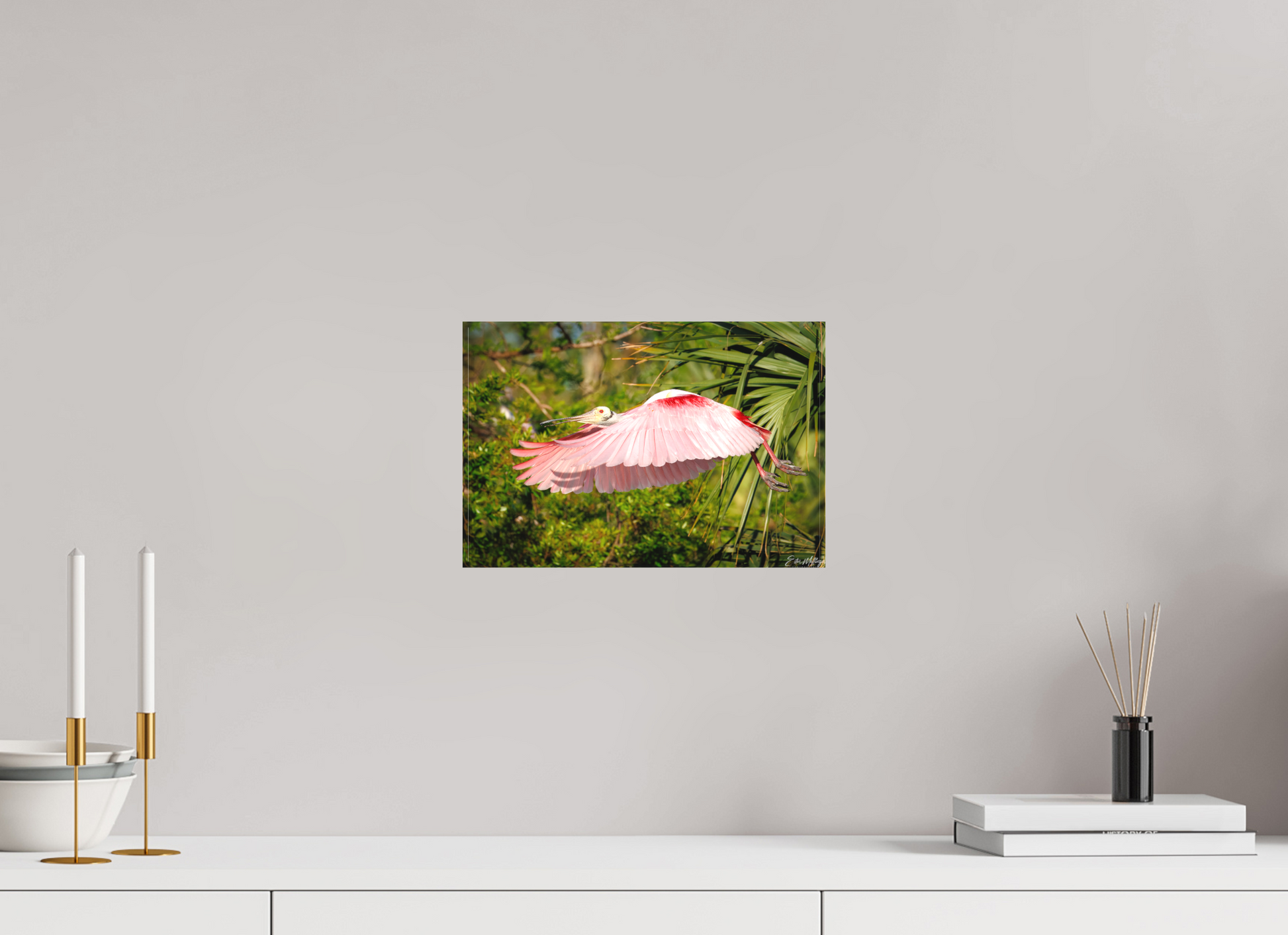 12 x 8″, Canvas "Pink Passage" - Roseate Spoonbill