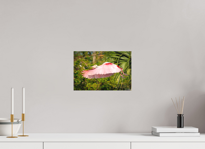 12 x 8″, Canvas "Pink Passage" - Roseate Spoonbill