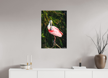 20 x 30″, Canvas "Blush of the Wetlands" - Roseate Spoonbill